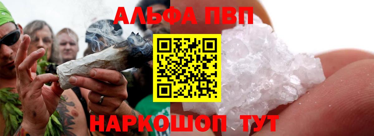 Alfa_PVP СК Пушкино