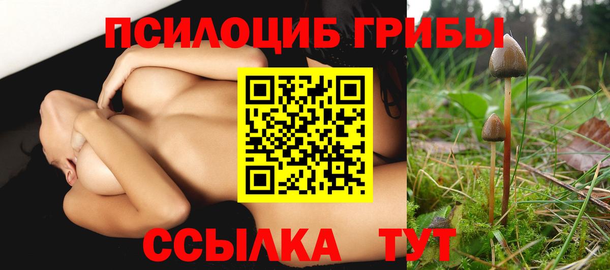 Псилоцибиновые грибы GOLDEN TEACHER Пушкино