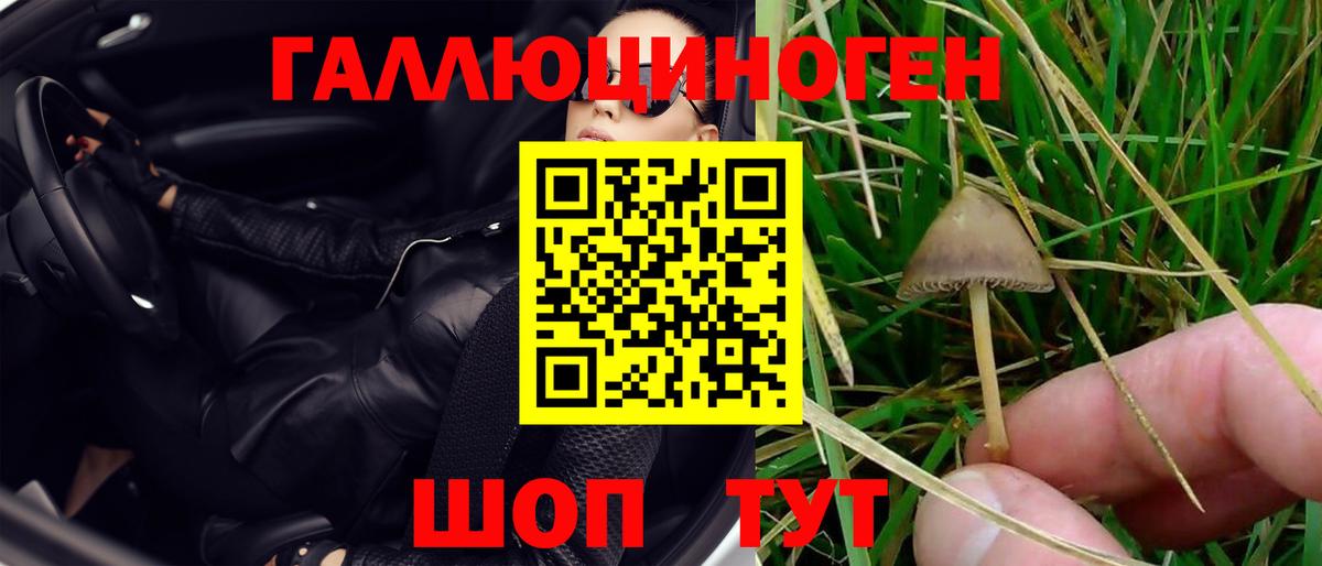 Галлюциногенные грибы мухоморы  Вход с VPN  Пушкино  Галлюциногенные грибы прущие грибы 